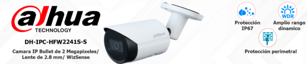 DAHUA IPC-HFW2241S-S